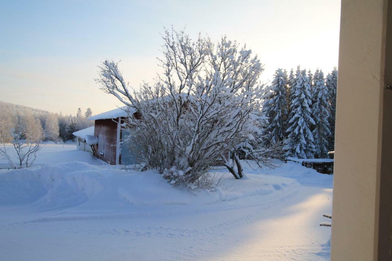 Maatilamatkailu Jaenisvaara Kolinkylä Zewnętrze zdjęcie